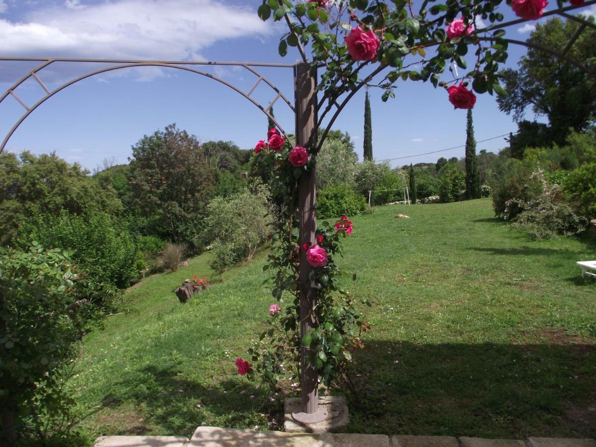 Soleil Et Farniente Daire Cervione Dış mekan fotoğraf